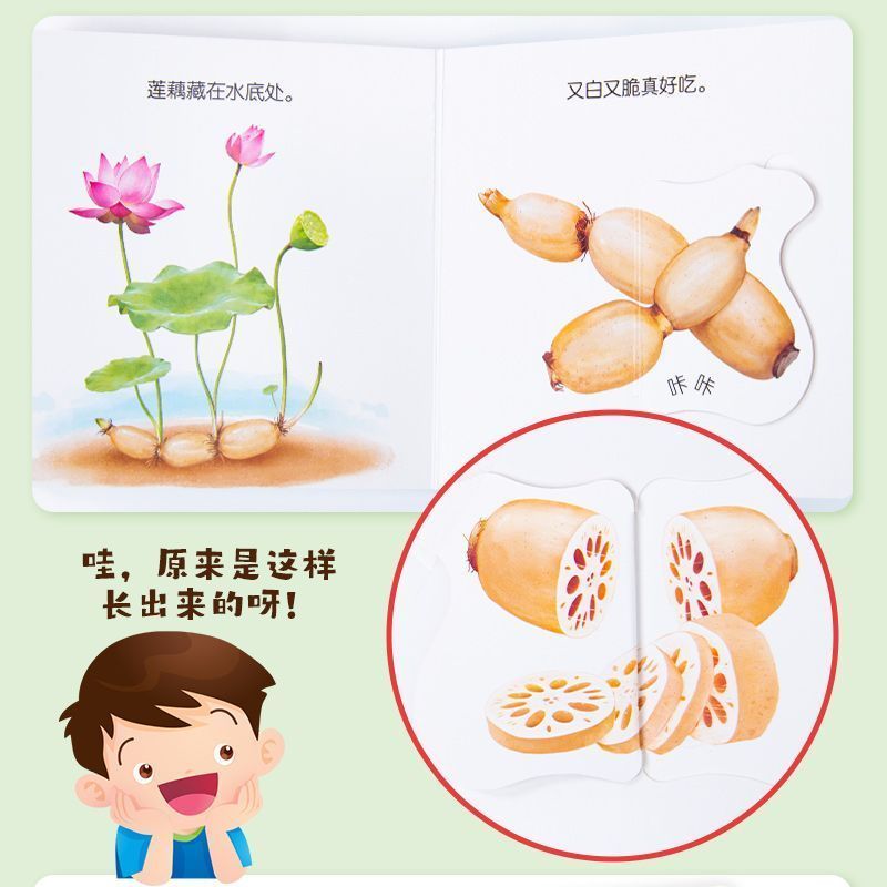 Buku Flipbook Pendidikan Makan - Baby Food Age ulasan dan harga