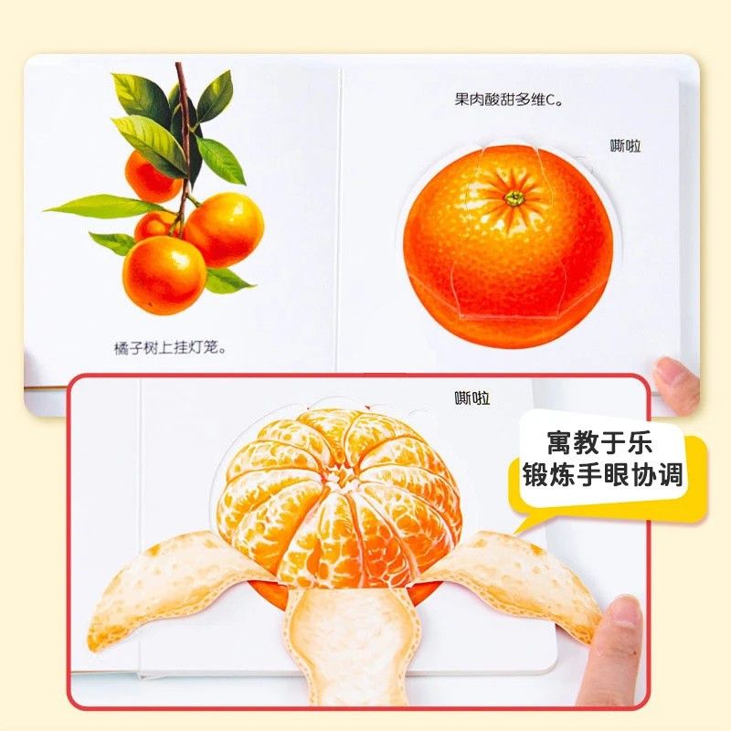Buku Flipbook Pendidikan Makan - Baby Food Age ulasan dan harga